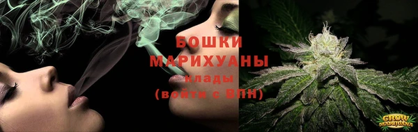 PSILOCYBIN Горно-Алтайск